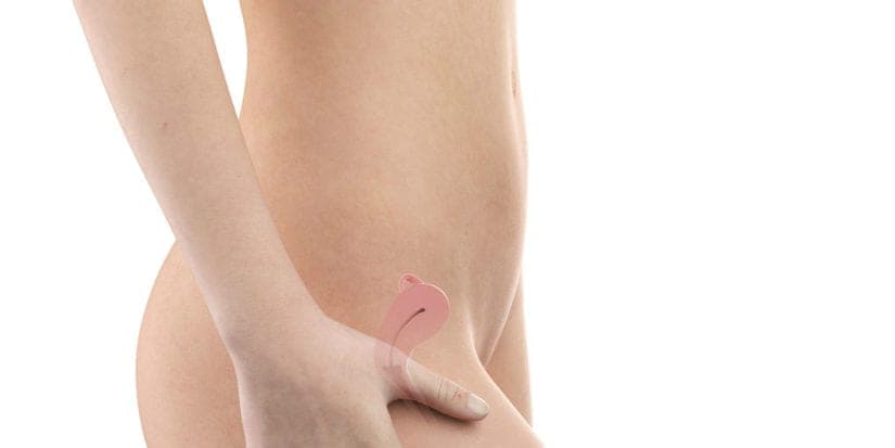 4. SSW: Alles über die Entwicklung, Größe & Symptome