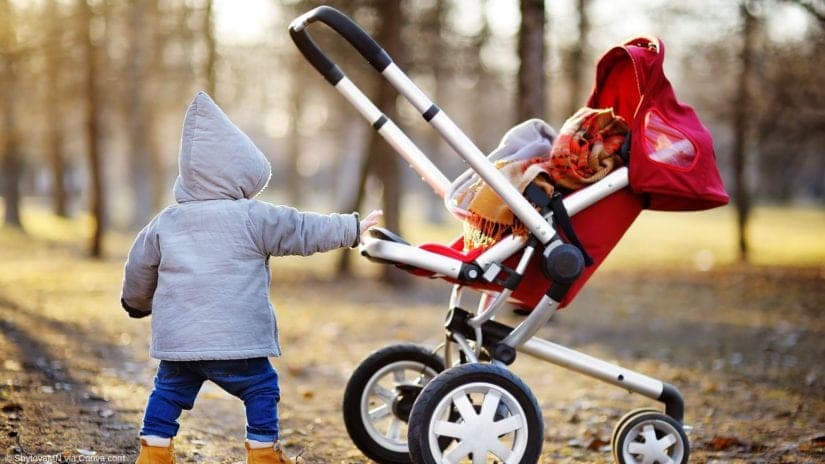 Buggy-Ratgeber 2026: So findest du das perfekte Modell