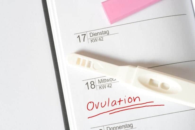Eisprung auslösen: Medikamente, Hausmittel & was hilft