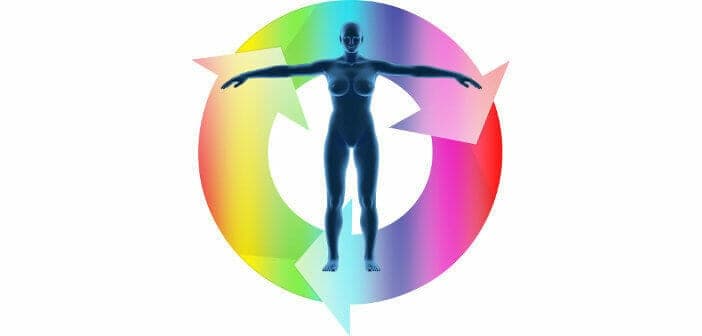 Menstruationszyklus: Alle 4 Phasen verständlich erklärt