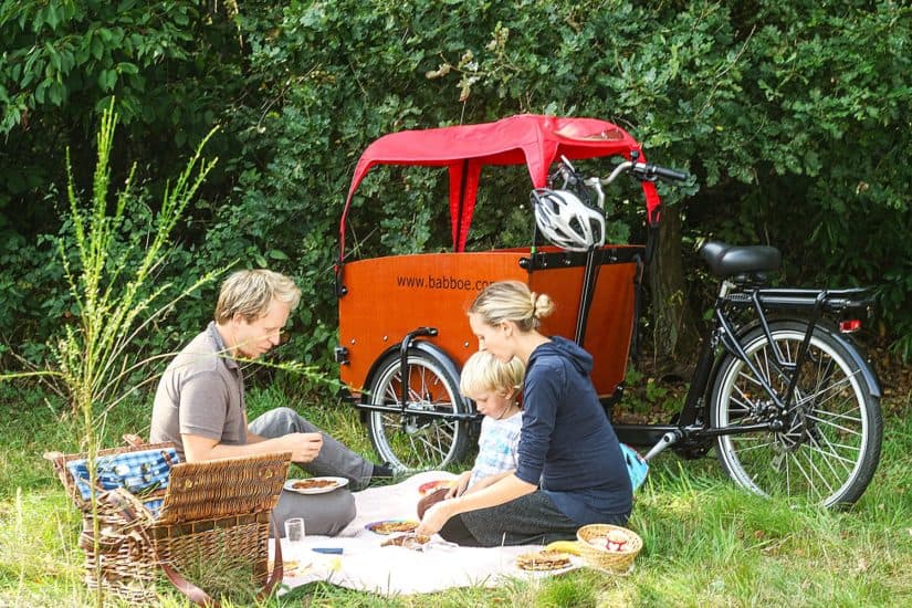 Picknick mit Kindern: Tolle Tipps, Rezepte & Checkliste