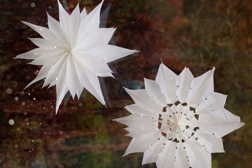 Sterne aus Butterbrottüten: Einfach, schnell & schön