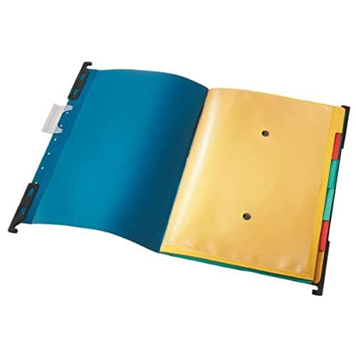 Leitz 18900035 Ordnungshängemappe Divide it Up, 6 Fächer, Colorspankarton, blau