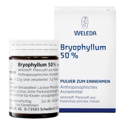 BRYOPHYLLUM 50% Pulver zum Einnehmen 50 g