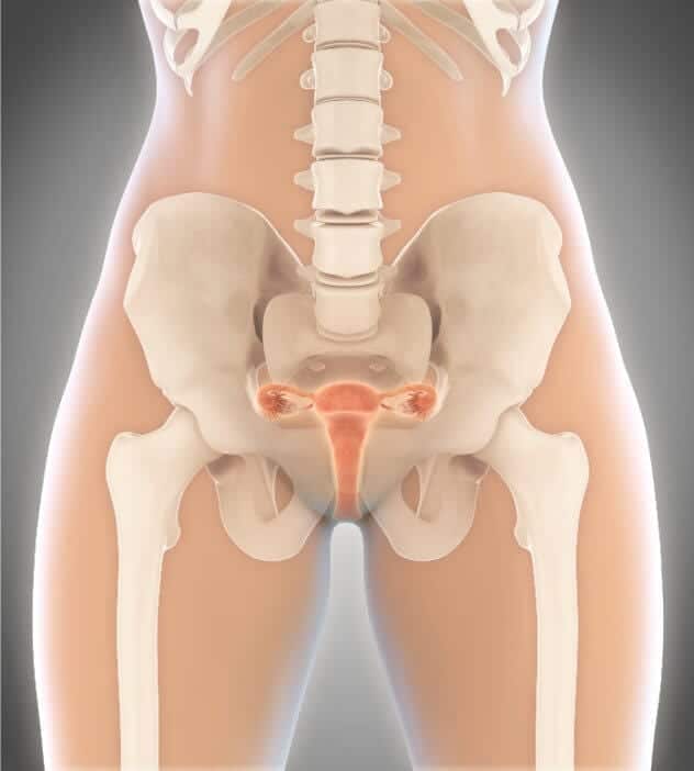 1. SSW: 1. Schwangerschaftswoche – was sollte man wissen?