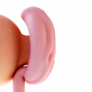 Fetus Schwangerschaftswoche 4