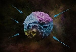 Mit Ritex zum Kinderwunsch 2