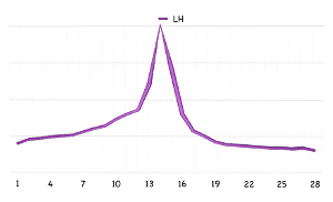 lh spiegel ovulationstest