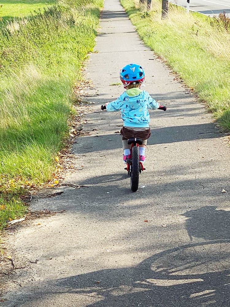 smartrike xtend balance