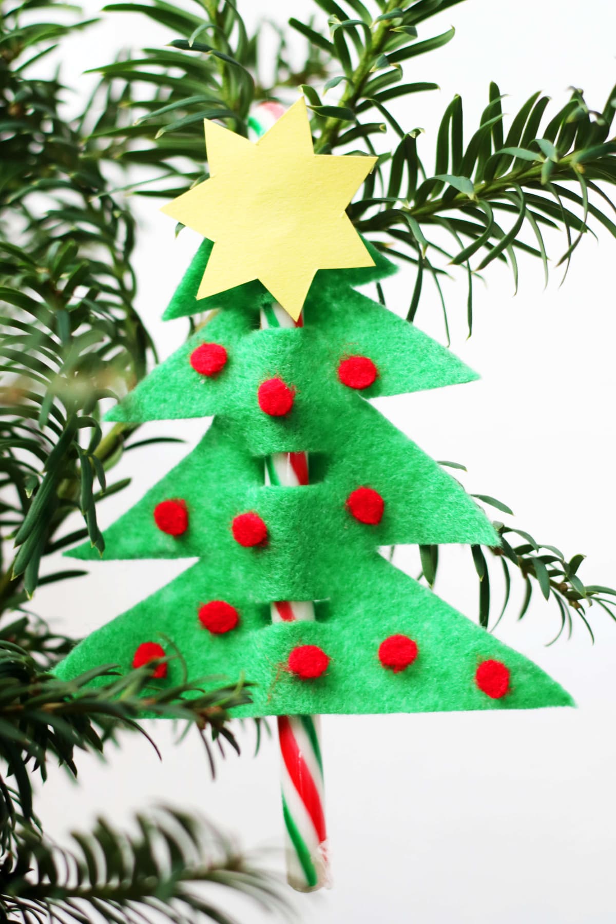 zuckerstangen baumschmuck