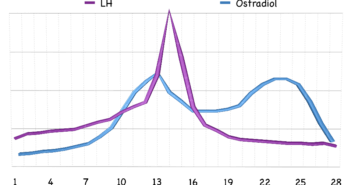 Östradiol und LH Grafik