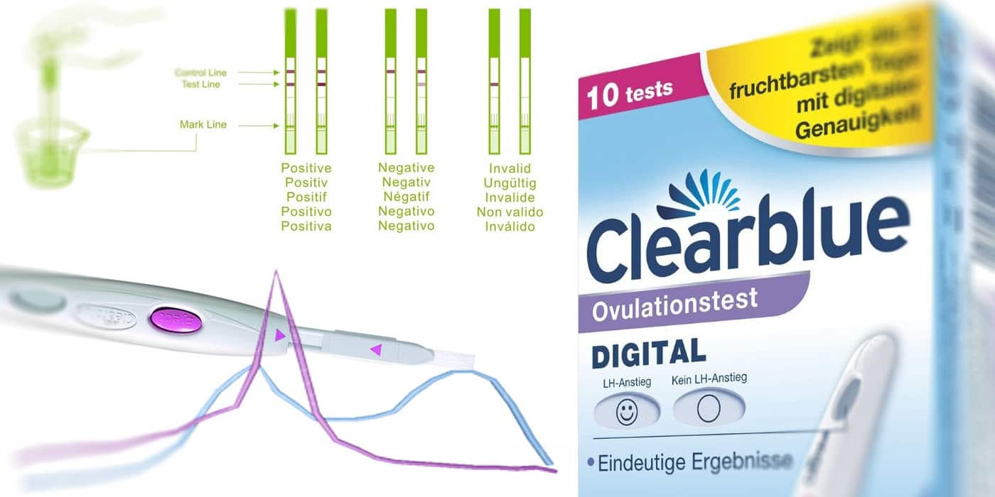 Am wann ist fruchtbar man besten Ovulationstest: Funktionsweise