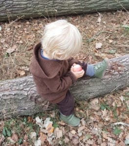 Herbst mit Kindern Äpfel pflücken